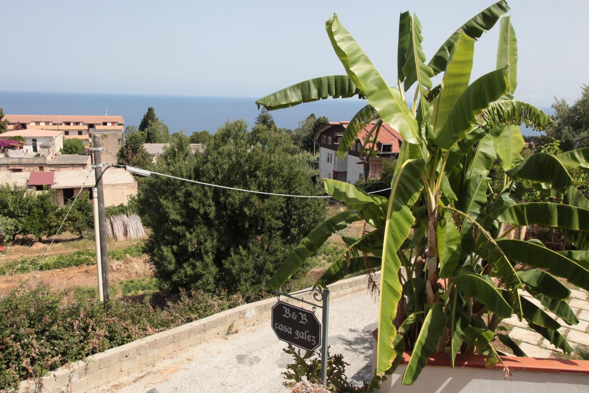 Bed And Breakfast Casagalez Santa Domenica  Buitenkant foto