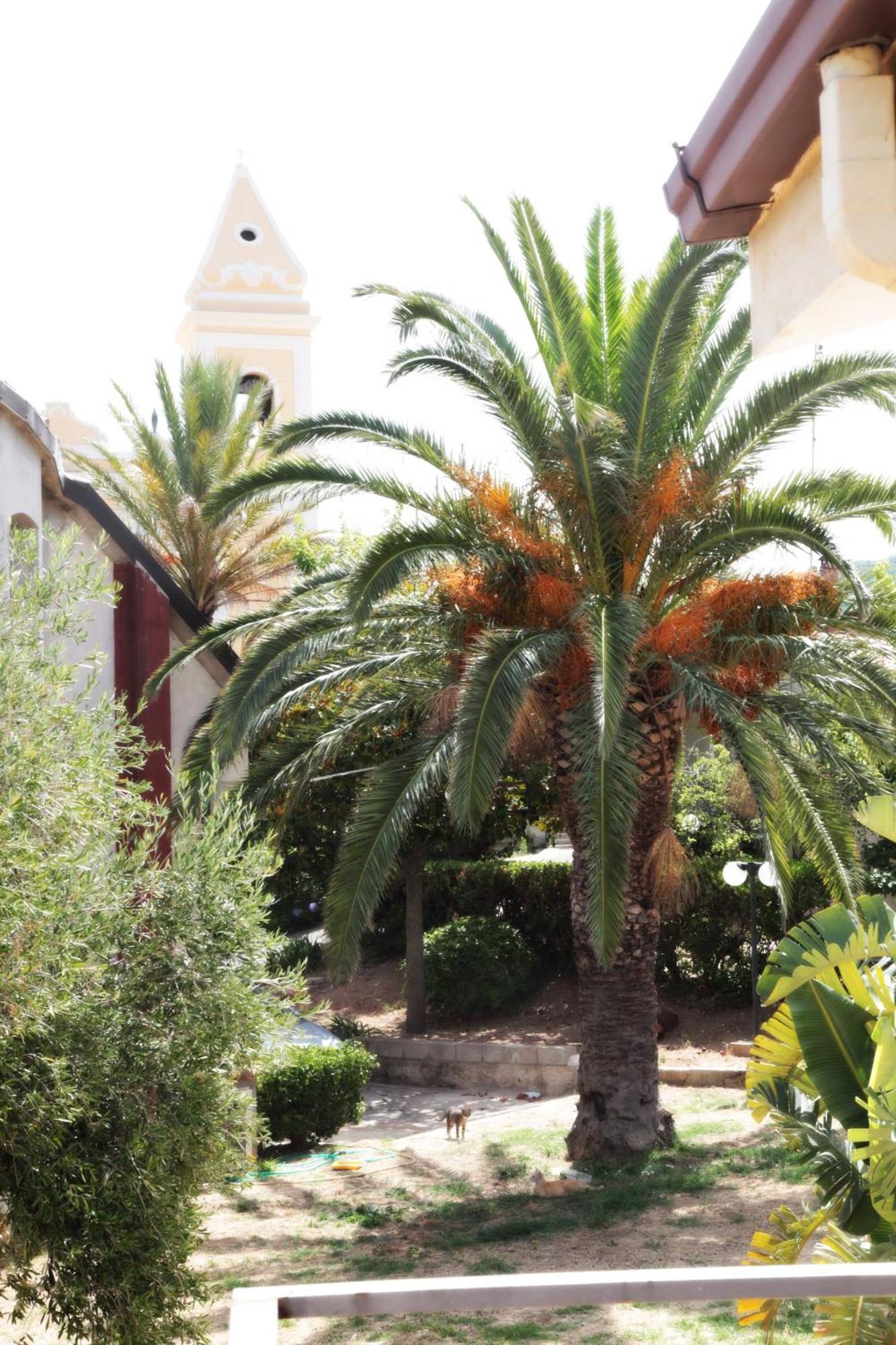 Bed And Breakfast Casagalez Santa Domenica  Buitenkant foto